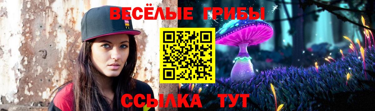 Псилоцибиновые грибы Magic Shrooms  Вход с VPN  Зерноград 